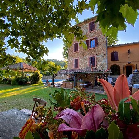 Domaine De Sainte Annette Bed & Breakfast กัลลิออง ภายนอก รูปภาพ